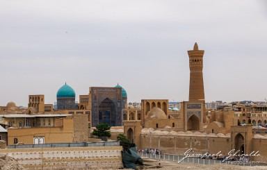 2025-04-15_Uzbekistan-6081.jpg