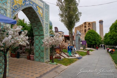 2025-04-18_Uzbekistan-6740.jpg