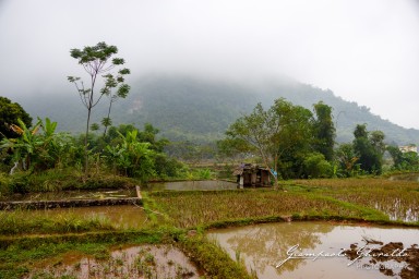 2023-11-28_Vietnam-6638.jpg