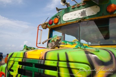 20090400_Aruba_6909.jpg