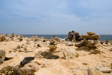 20090400_Aruba_6929.jpg