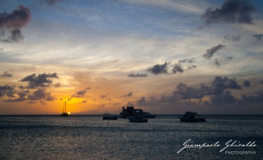 20090400_Aruba_7302.jpg