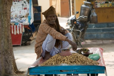 20101204_Delhi_e_Agra_10132-449.jpg