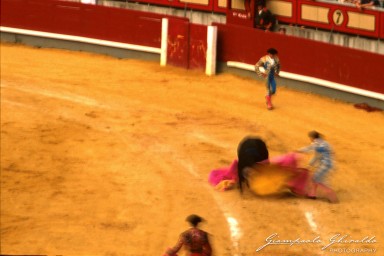 19830800_Spagna_Corrida_022.jpg