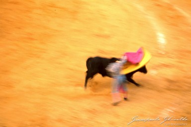 19830800_Spagna_Corrida_025.jpg