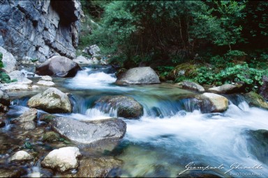 19910801_Fiera_di_Primiero_019.jpg