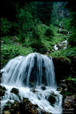 19910801_Fiera_di_Primiero_081.jpg
