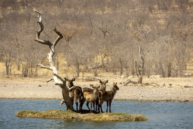 2022-09-21_Namibia_Gia-1506.jpg