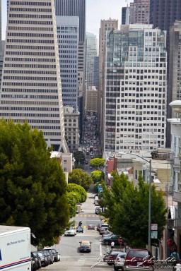 20110805_USA_0181.jpg