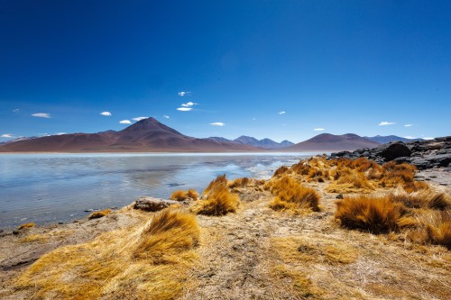 2025-10-15-Cile_Bolivia_2025-1230.jpg