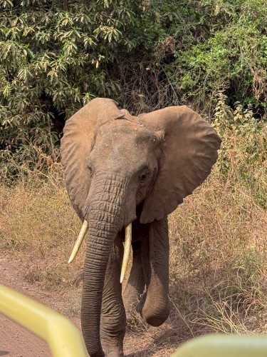 Tanzania26-4932.jpg