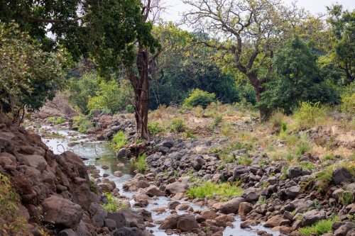 Tanzania26-8776.jpg