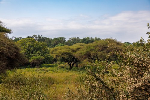 Tanzania26-8778.jpg