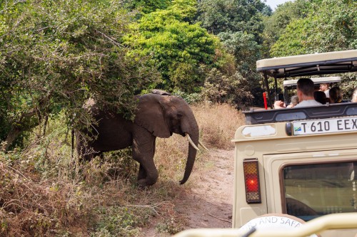 Tanzania26-8782.jpg