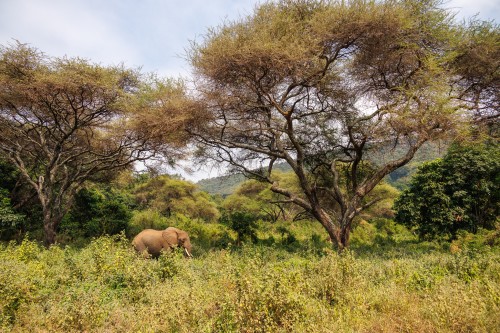 Tanzania26-8799.jpg
