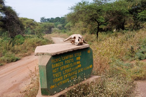 Tanzania26-8812.jpg