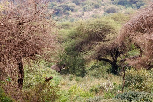 Tanzania26-8926.jpg
