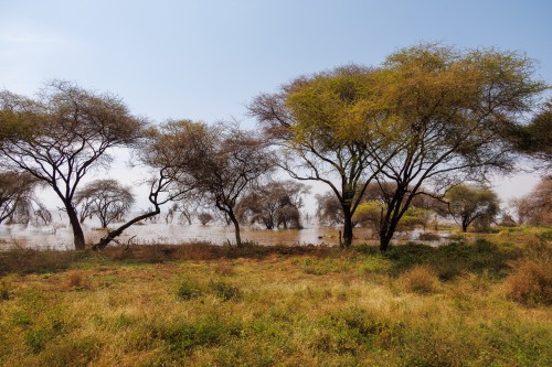 Tanzania26-8953.jpg