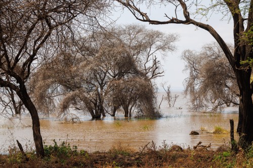 Tanzania26-8956.jpg