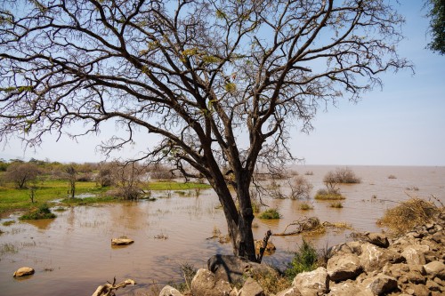 Tanzania26-8984.jpg
