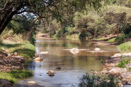Tanzania26-8997.jpg