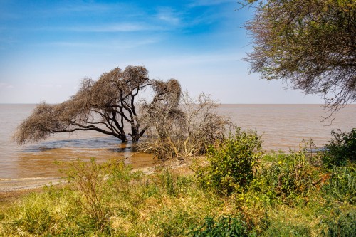 Tanzania26-8998.jpg