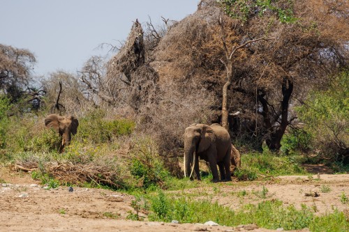 Tanzania26-9012.jpg