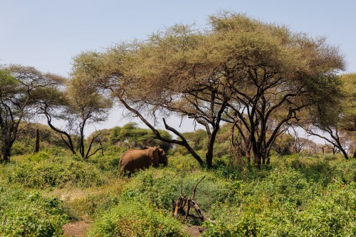 Tanzania26-9034.jpg