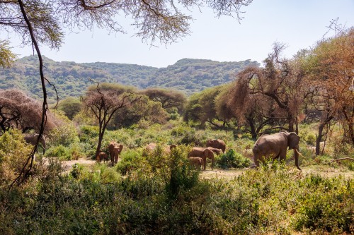 Tanzania26-9039.jpg