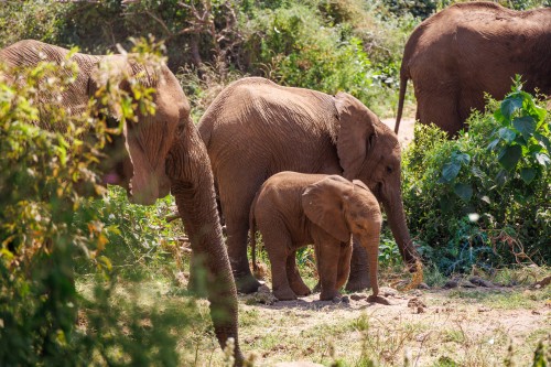 Tanzania26-9045.jpg