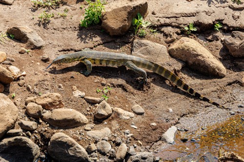 Tanzania26-9054.jpg