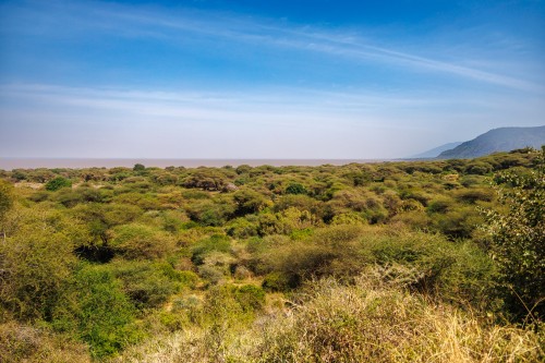 Tanzania26-9063.jpg