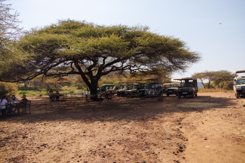 Tanzania26-9070.jpg