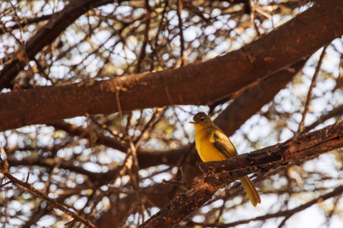 Tanzania26-9073.jpg