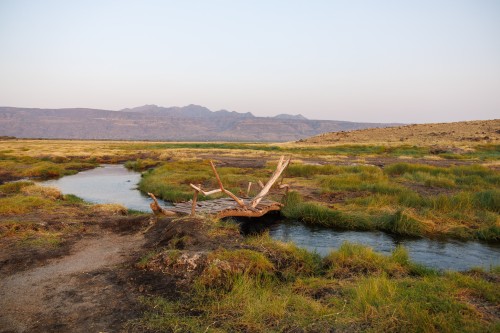 Tanzania26-0842.jpg