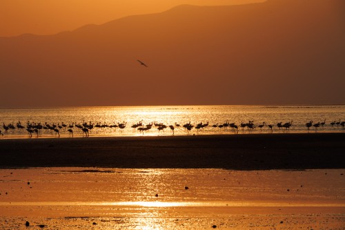 Tanzania26-0852.jpg