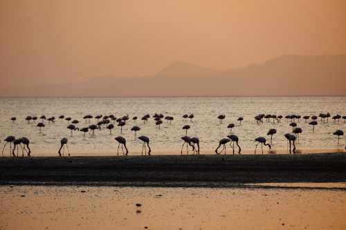 Tanzania26-0875.jpg