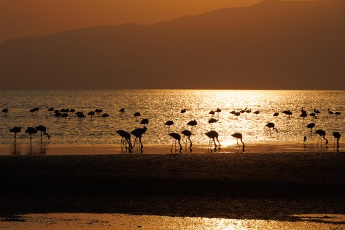 Tanzania26-0884.jpg