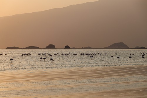 Tanzania26-0888.jpg
