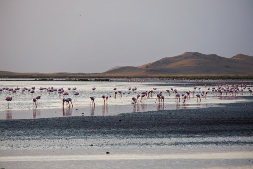 Tanzania26-0890.jpg