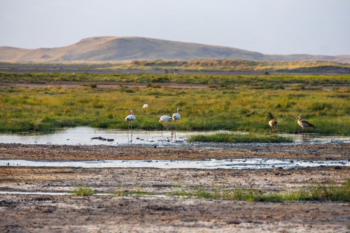 Tanzania26-0912.jpg
