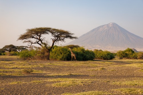 Tanzania26-0921.jpg