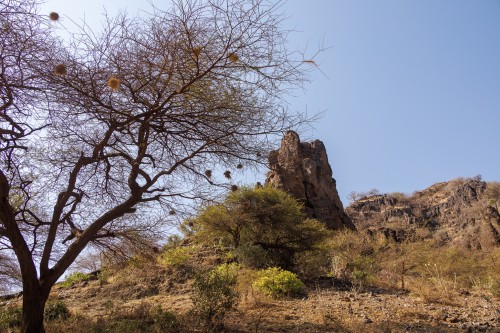 Tanzania26-0964.jpg