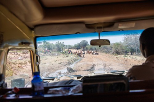 Tanzania26-0710.jpg