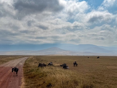 Tanzania26-5058.jpg