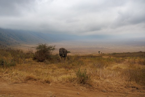 Tanzania26-9111.jpg