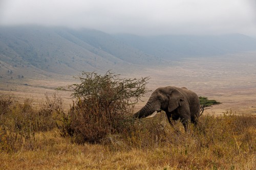 Tanzania26-9117.jpg