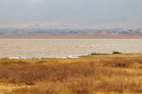 Tanzania26-9158.jpg