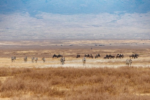 Tanzania26-9177-746.jpg