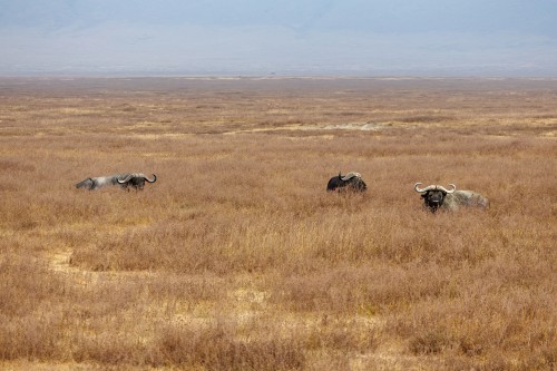 Tanzania26-9219-693.jpg